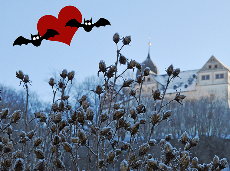 schloss-rochsburg-valentinstag-fuehrung