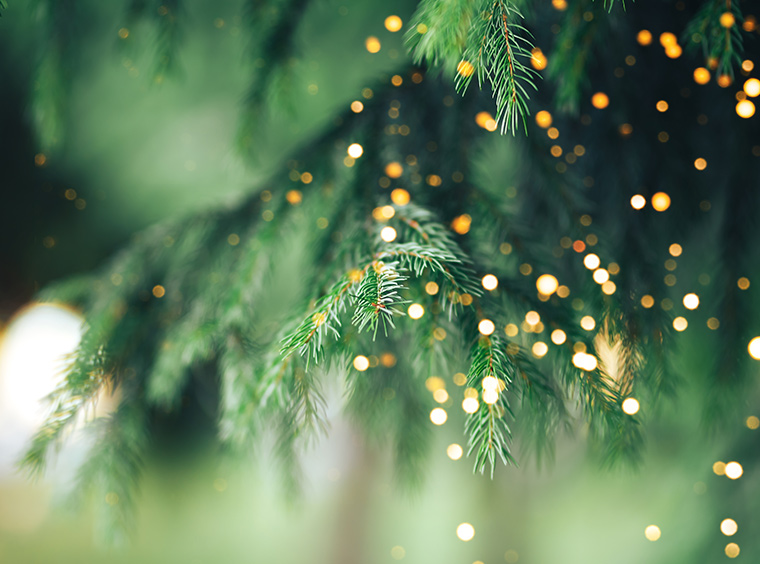 Adventskonzert